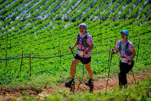 BIB: 
                            <button type="button" onclick="openModal(19164436)" class="btn btn-primary btn-sm float-right btn-popup" data-toggle="modal" data-target=".modal-high-quality">
                        <i class="fas fa-shopping-cart"></i> Add to Cart
                    </button>
                                            <button type="button" onclick="isThisMe(19164436, true)" class="btn btn-success btn-sm float-right btn-popup btn-isme hidden" data-toggle="tooltip" data-placement="bottom" title="นี่คือรูปของคุณใช่ไหม คลิกที่นี่เพื่อเอาเข้าอัลบั้ม">
                        <i class="fas fa-plus"></i> Add to album
                    </button>
                    <button type="button" onclick="isThisMe(19164436, false)" class="btn btn-warning btn-sm float-right btn-popup btn-isnotme hidden">
                        <i class="fas fa-ban"></i> Remove from album
                    </button>